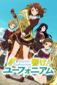 Hibike! Euphonium