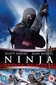 Ninja Báo Thù